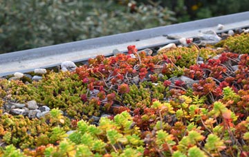 the cost of Roundway green roof installation