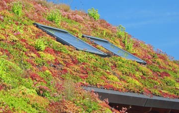 Roundway living roof systems
