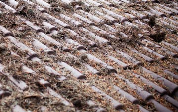 Roundway roof cleaning companies