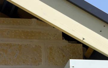 soffit repair Roundway