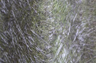 Roundway fibreglass roof work